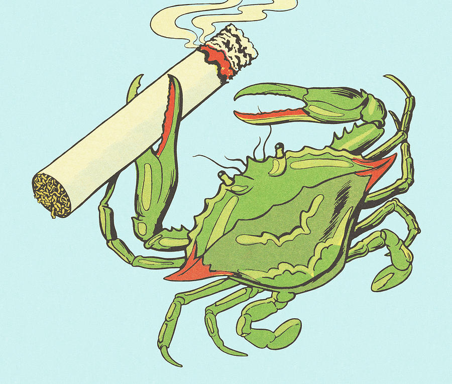 Crab Smoking A Cigarette Drawing By Csa Images Fine Art America