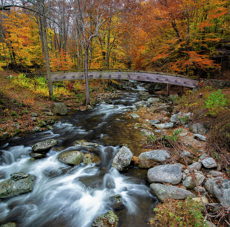 Fall Photograph - Crab Tree Creek by Mark Papke