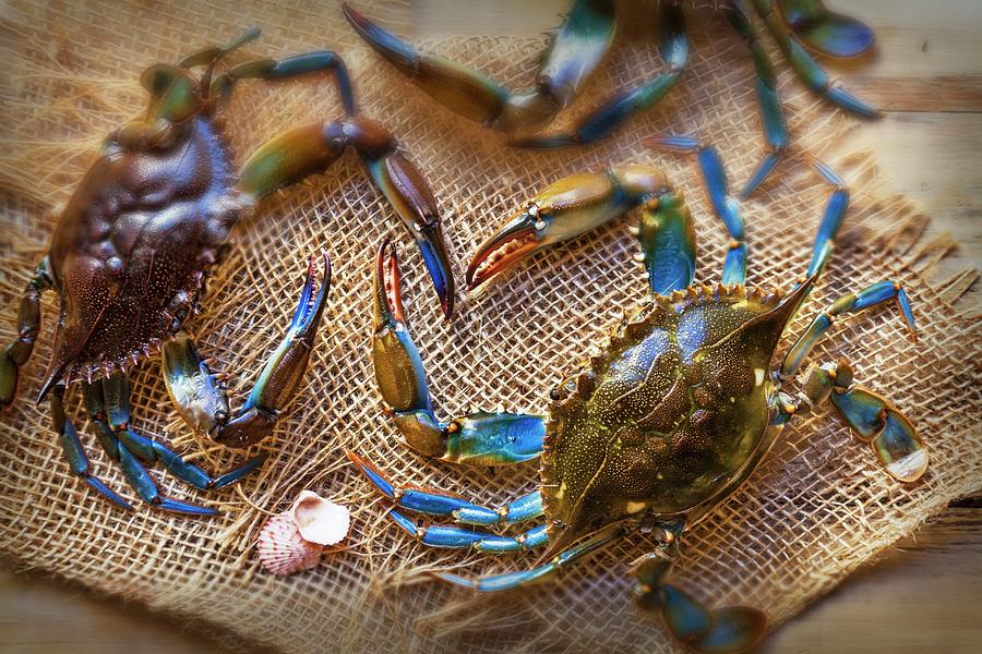 Crabs Photograph by George Crudo