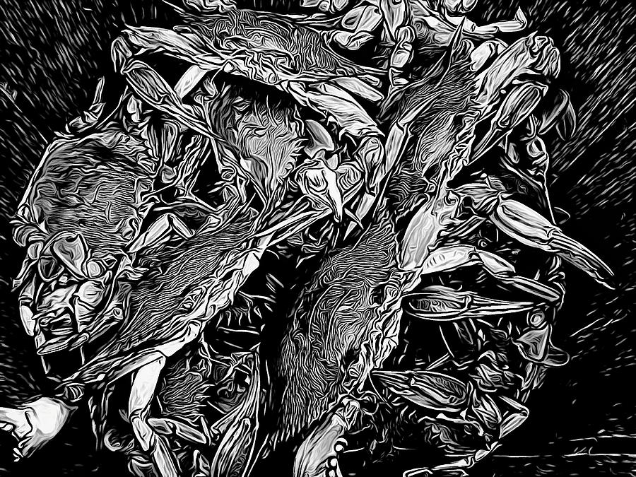 Crabs In The Basket by Alice Gipson Crabs In The Basket by Alice Gipson