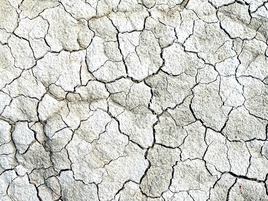 Cracked barren soil Photograph by Tosca Weijers - Fine Art America