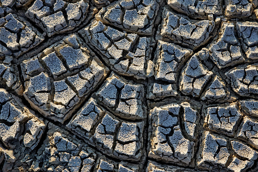 Cracked Dried Mud On The Surface Photograph by Nhpa