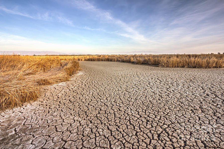 Sly Photograph - Cracked Dry Ground Near Fremont by Nvelichko Sly Photograph - Cracked Dry Ground Near Fremont by Nvelichko
