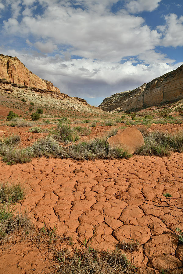 Cracked Earth along Temple Mountain Road in Utah Photograph by Ray Mathis