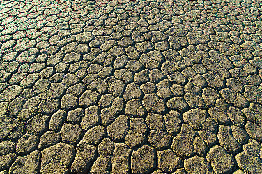 Cracked Earth II Photograph by William Dickman