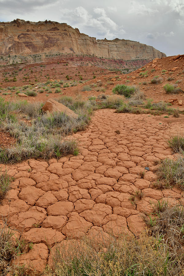 Cracked Earth in San Rafael Swell Photograph by Ray Mathis