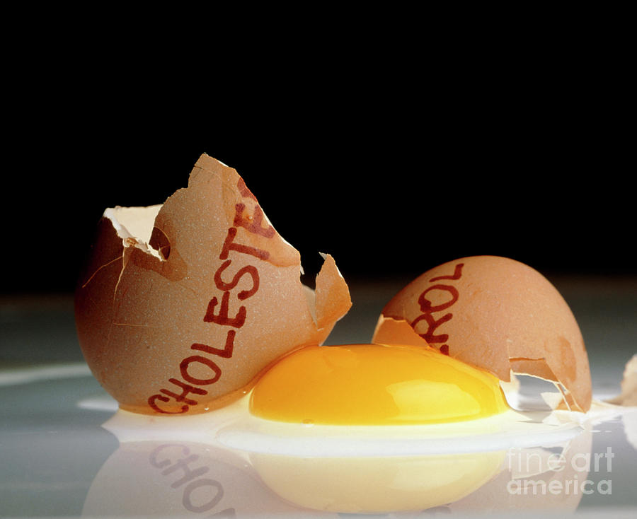 Cracked Egg As Symbol Of Cholesterol Rich Food Photograph by Oscar Burriel/science Photo Library