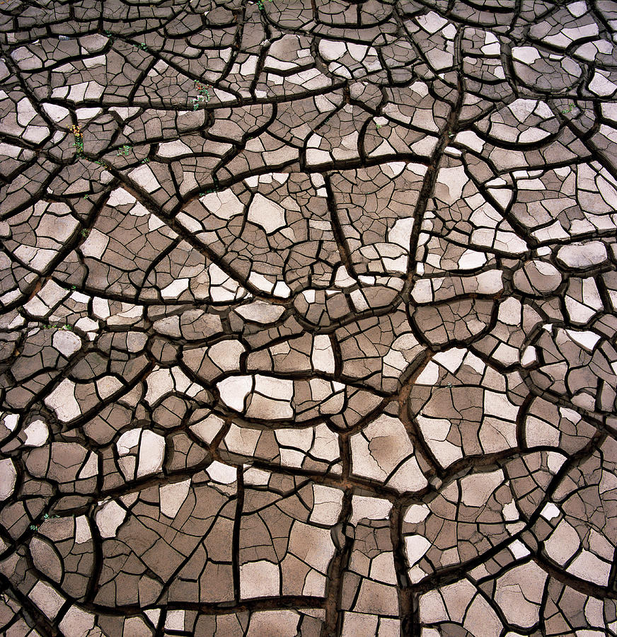 Cracked Silt, Elevated View, Full Frame Photograph by Bob Elsdale