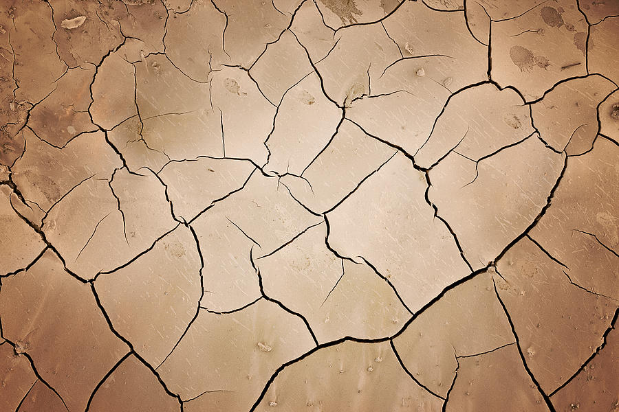 Cracks In Dry Earth Photograph by Kertlis