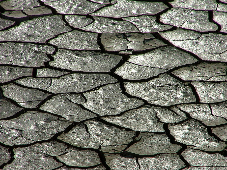 Cracks Photograph by Katie Lasalle-lowery