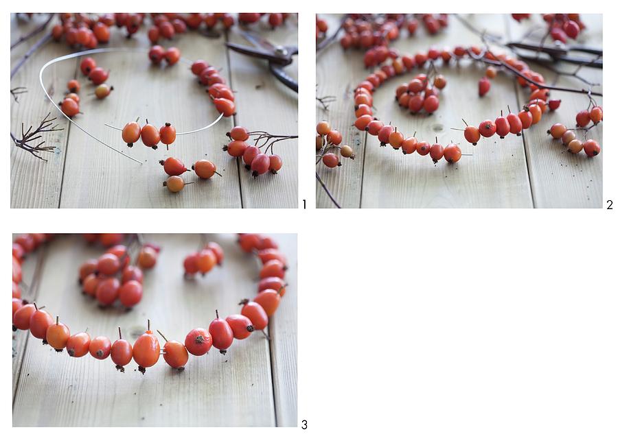 Crafting A Wreath Of Rosehips Photograph by Martina Schindler