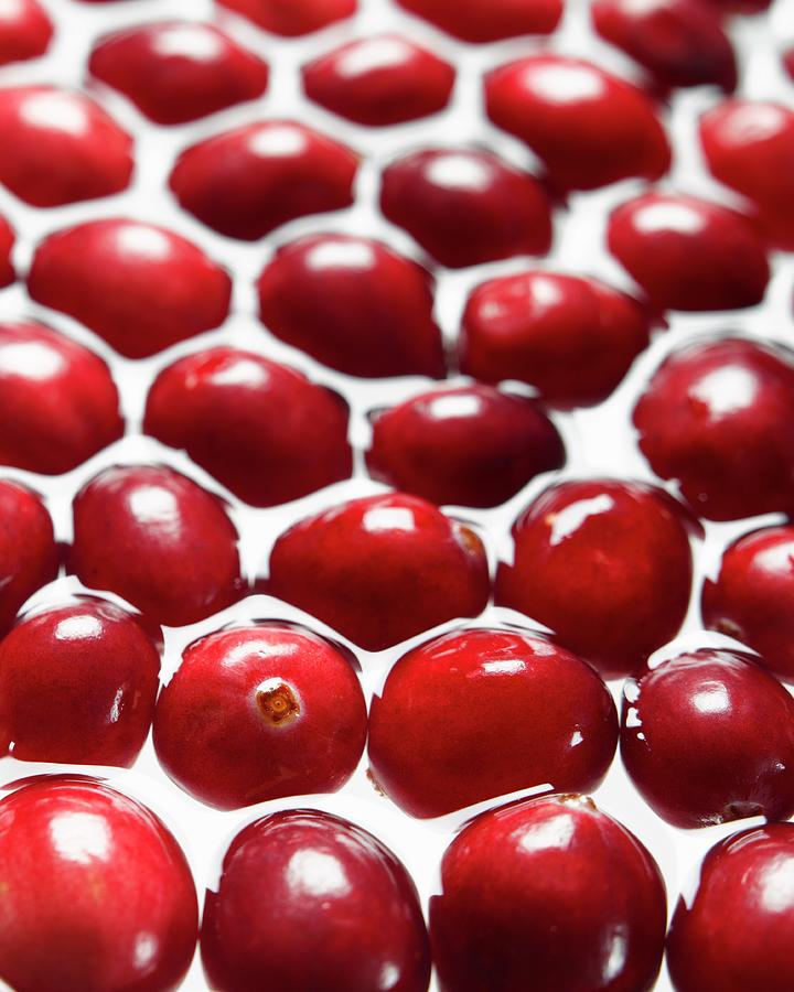 Cranberries In Water Photograph by Togashi Kiyoshi