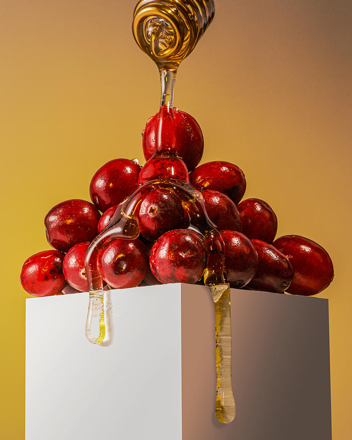 Still Life Photograph - Cranberries With Honey by Konstantin Morozov