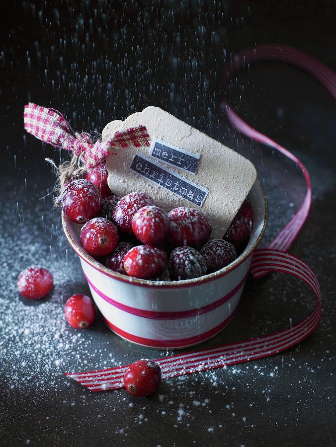 Cranberries With Icing Sugar In A Pot christmassy Photograph by West, Stuart