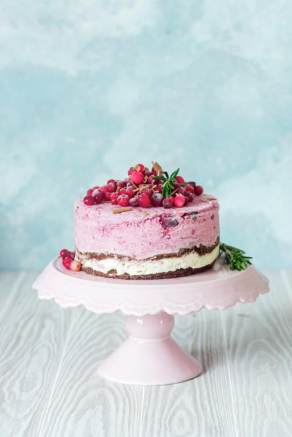 Cranberry, Chocolate And Ice Cream Cake Photograph by Irina Meliukh