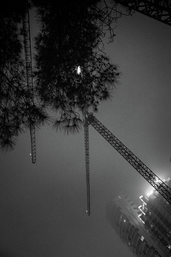 Crane 3 Photograph by Glen Carpenter
