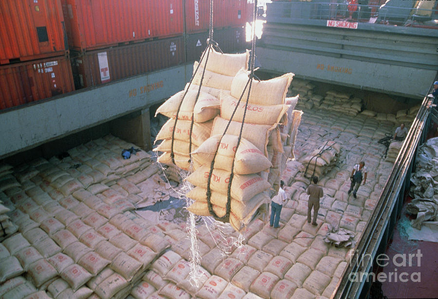 Crane Unloads Sacks Of Coffee From A Ship Photograph by Maximilian Stock Ltd/science Photo Library