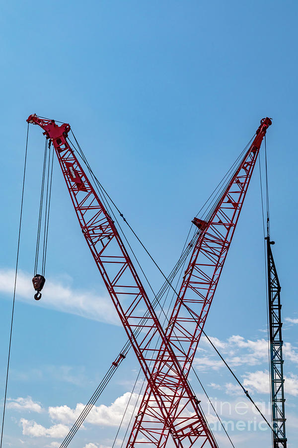 Cranes Photograph by Jim West/science Photo Library