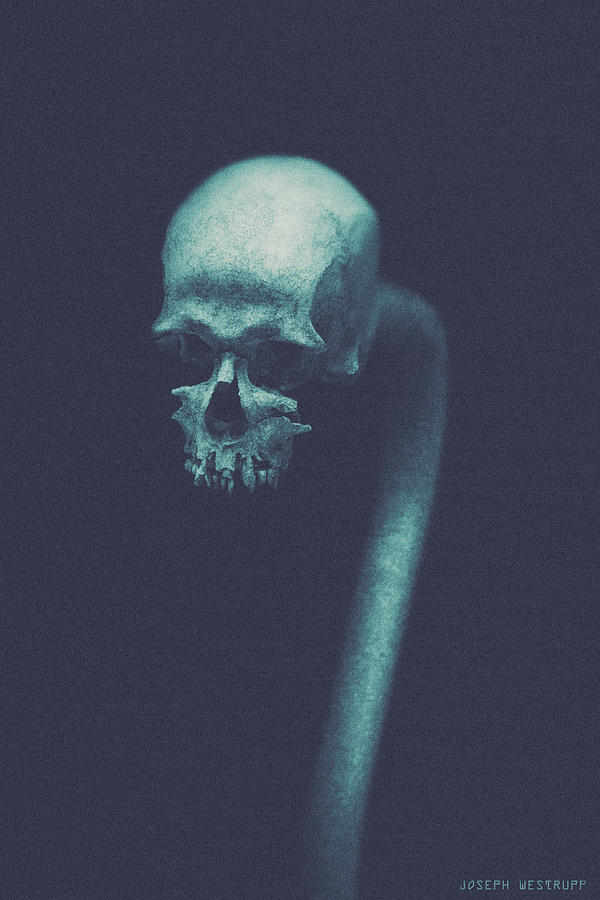Cranium Ophidian Photograph by Joseph Westrupp