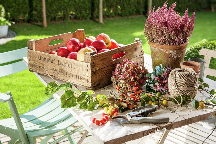 Crate Of Fresh Apples, Flowers, Garden Secateurs And Ball Of String On Garden Table Photograph by Moog & Van Deelen