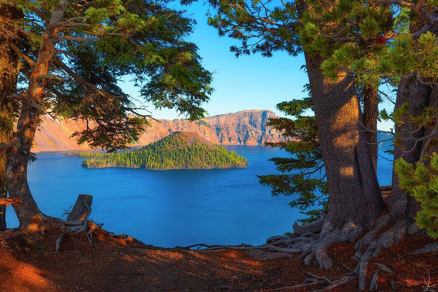 Crater Lake Early Dawn Scenic Views IX Photograph by Dee Browning