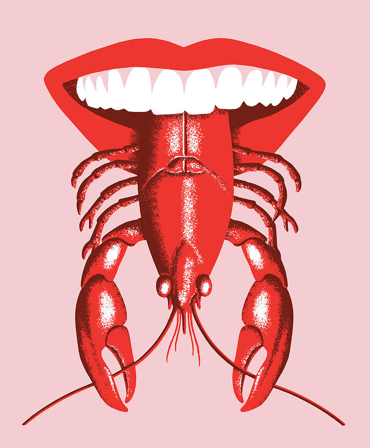 Fish Drawing - Crawfish Tongue by CSA Images