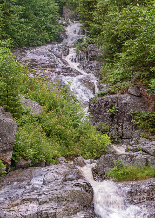 Crawford Notch #12 Photograph by Alesia Kaye Stein - Fine Art America