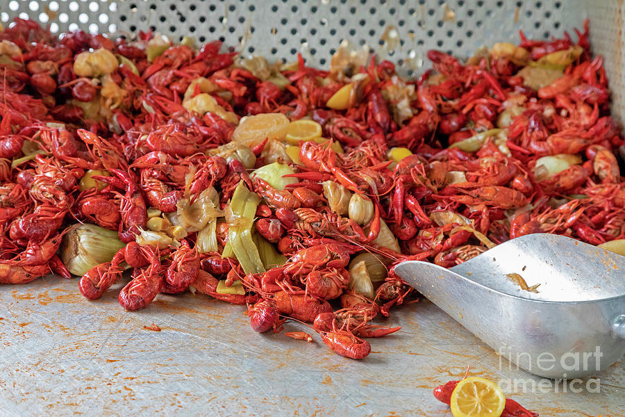 Crayfish Being Cooked In New Orleans Photograph by Jim West/science Photo Library