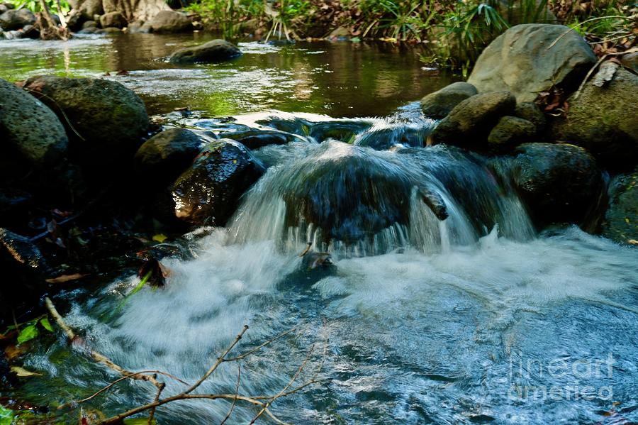 Crayfish Stream Photograph by Craig Wood - Fine Art America