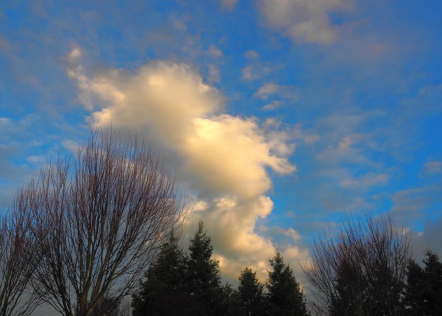 Cream Colored Clouds Photograph by Richard Thomas