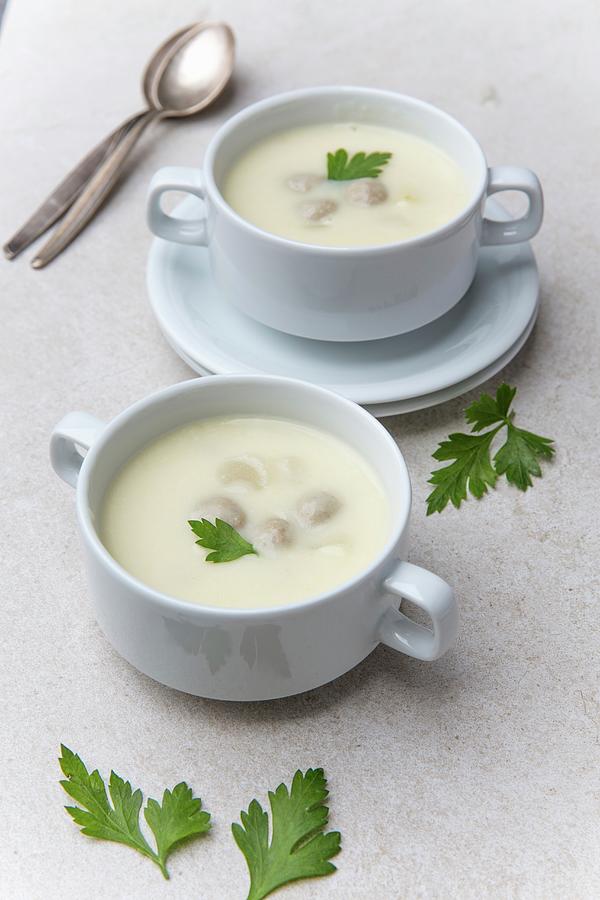 Cream Of Asparagus Soup With Meat Dumplings Photograph by Claudia Timmann