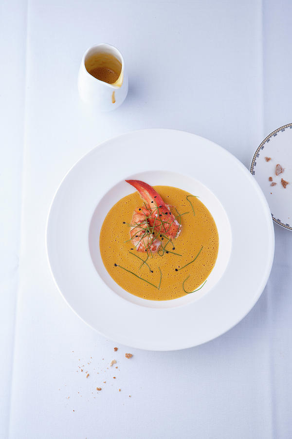 Cream Of Lobster Soup usa Photograph by Michael Wissing