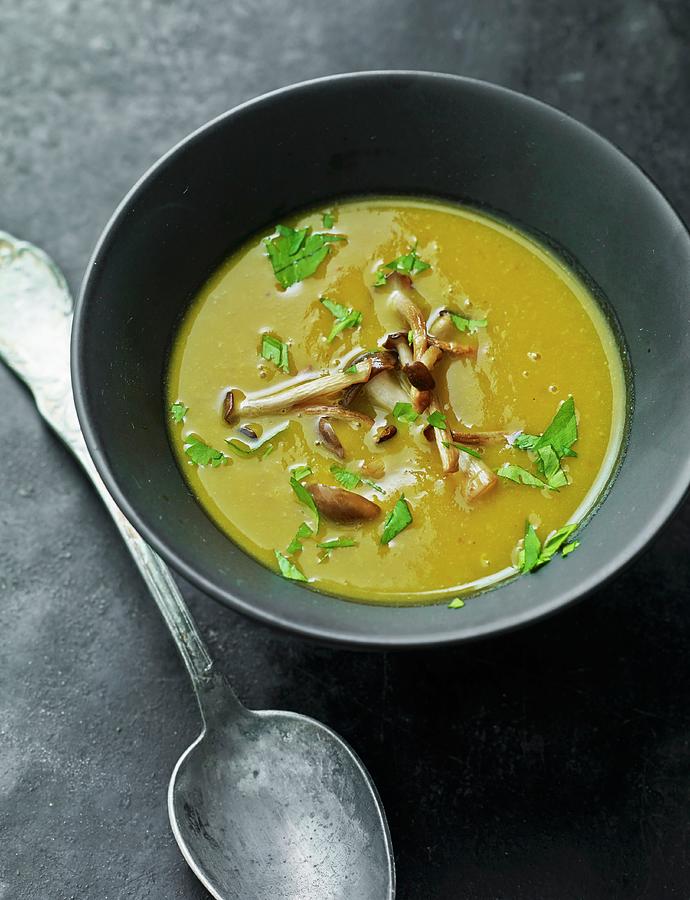 Cream Of Mushroom Soup With Curry And Parsley Photograph by Lars Ranek