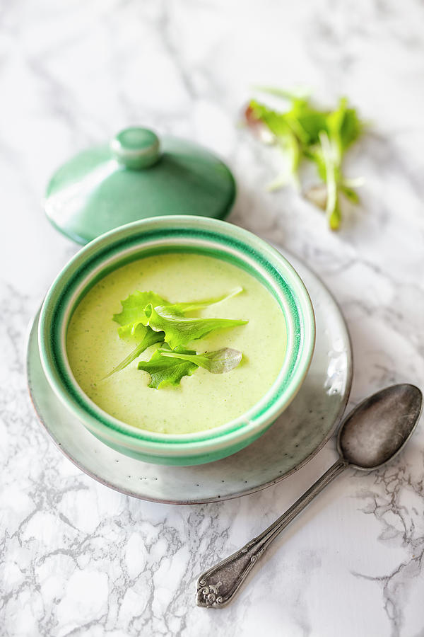 Cream Soup From Lettuce Photograph by Jan Wischnewski