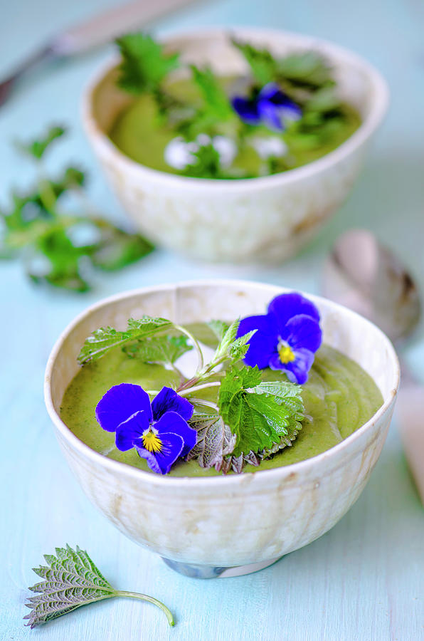 Cream Soup With Nettles In Handmade Ceramic Bowls, Decorated With Nettle Sprigs And Violet Flowers Photograph by Gorobina