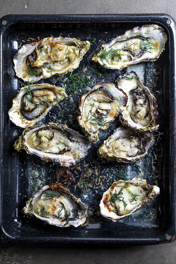 Creamy Baked Oysters With Parmesan And Dill Photograph by Great Stock!