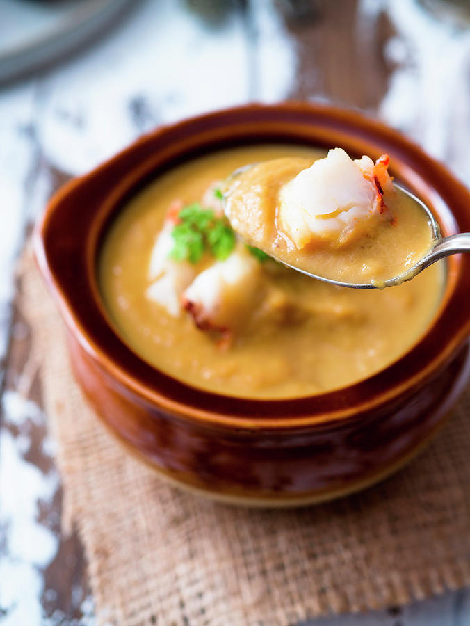 Creamy Soup Topped With Lobster Photograph by Christine Siracusa