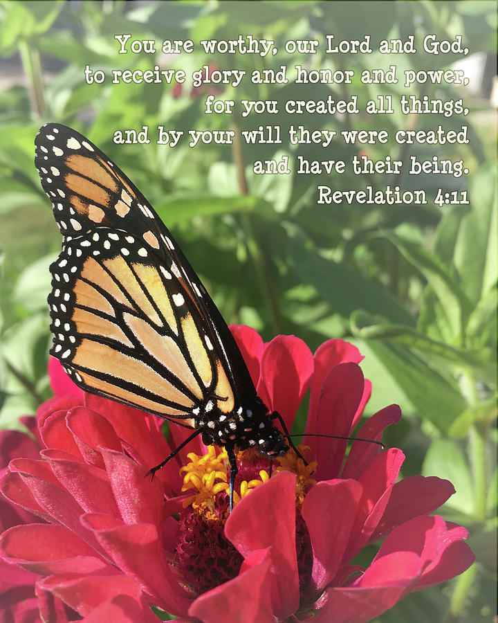 Butterfly Photograph - Creation Speaks by April Beaver Butterfly Photograph - Creation Speaks by April Beaver