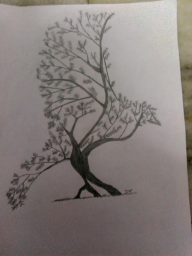 Bird Drawing - Creative Art of tree in a form of bird by Vivek Jai