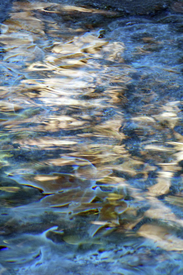 Creek Bed Blues #35 by Deborah Ann Good Creek Bed Blues #35 by Deborah Ann Good