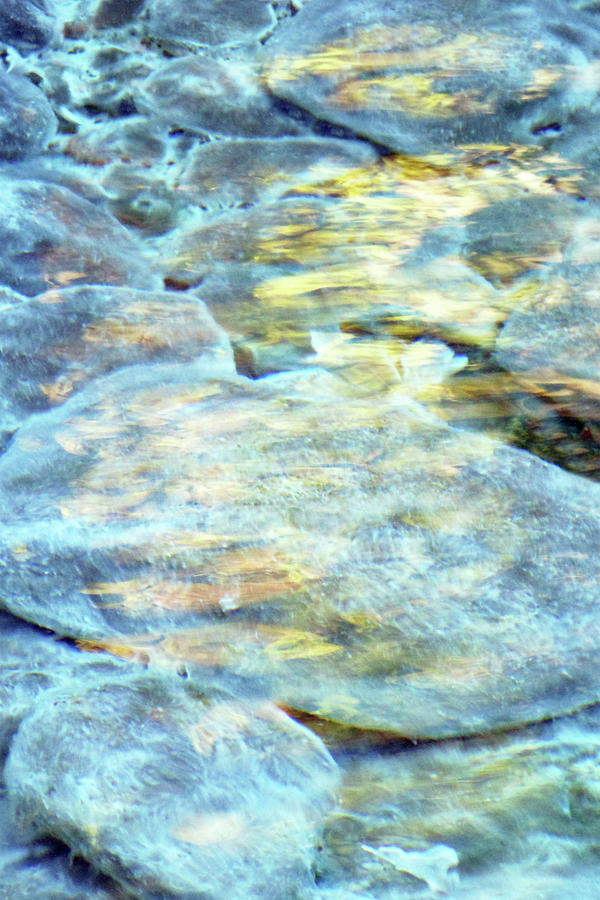 Creek Bed with Sunlight Reflections by Deborah Ann Good Creek Bed with Sunlight Reflections by Deborah Ann Good