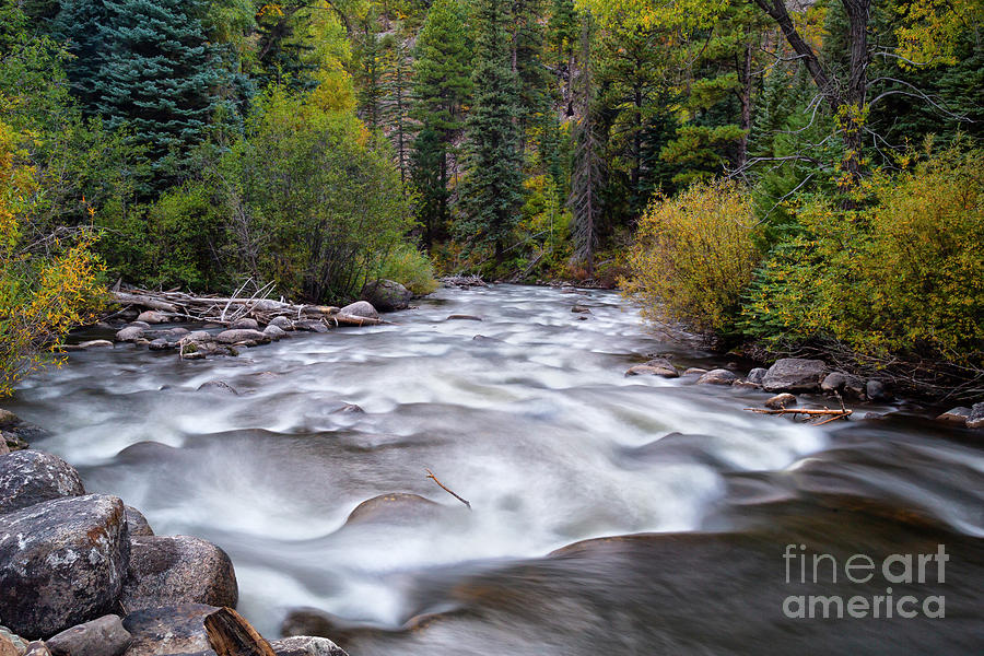 Creek By Lemon Dam Photograph by Jaime Miller
