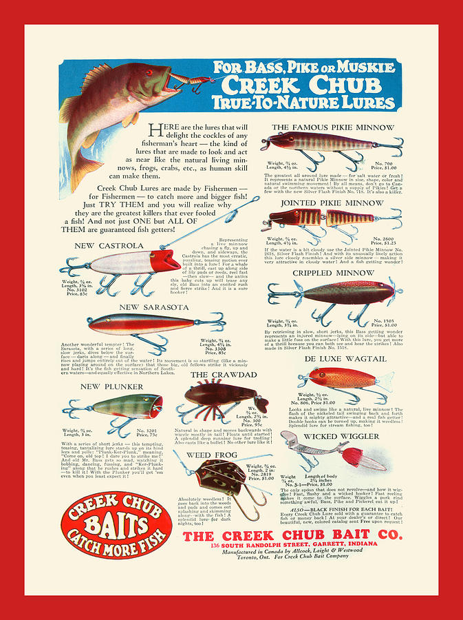 Creek Chub Baits Catch More Fish Painting by Unknown