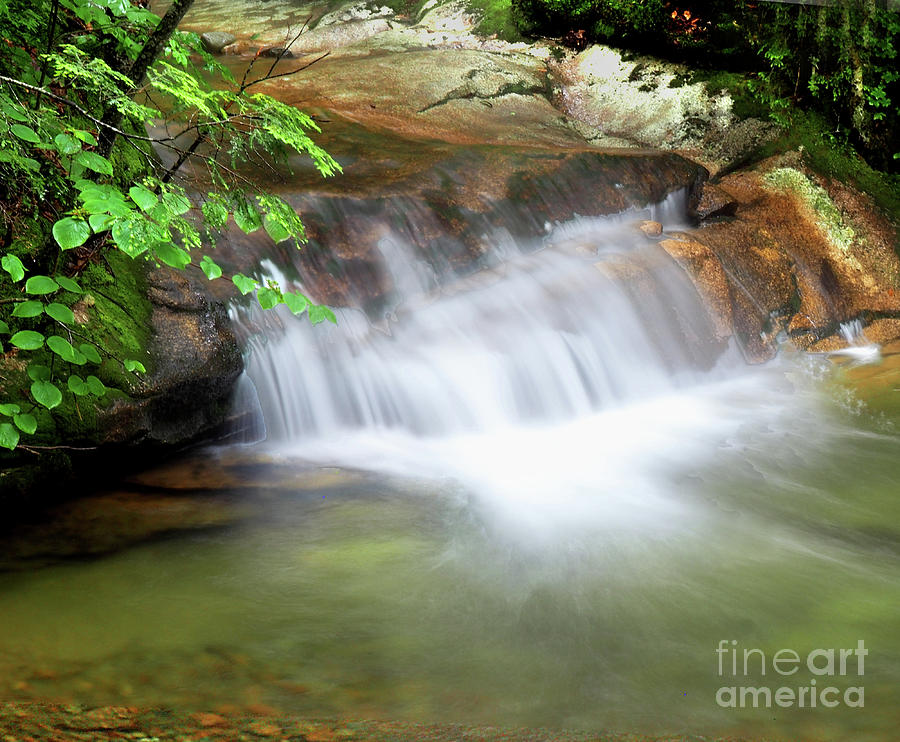 Creek Falls Photograph by Raymond Earley