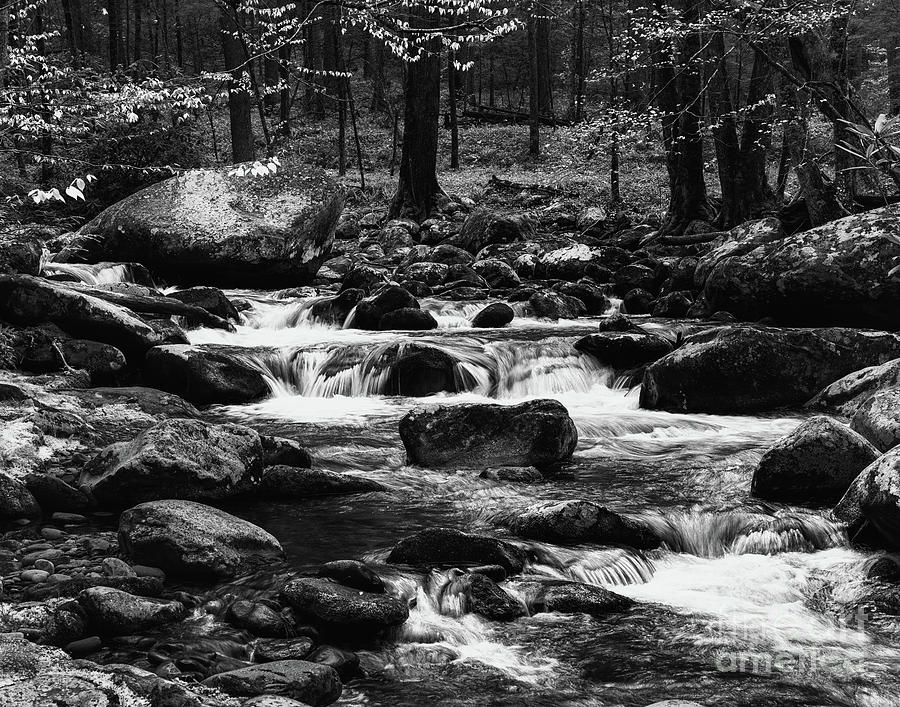 Creek Photograph by Izet Kapetanovic