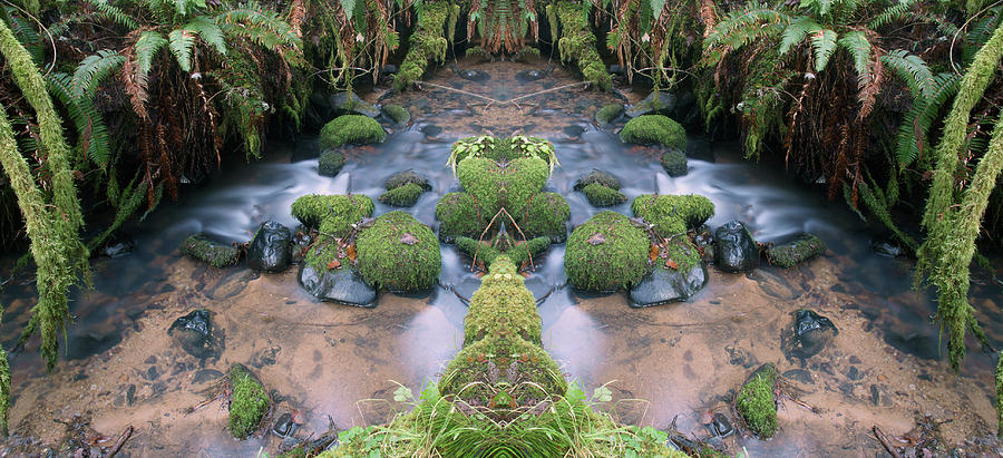 Creek Spirits #5 by Ben Upham III Creek Spirits #5 by Ben Upham III