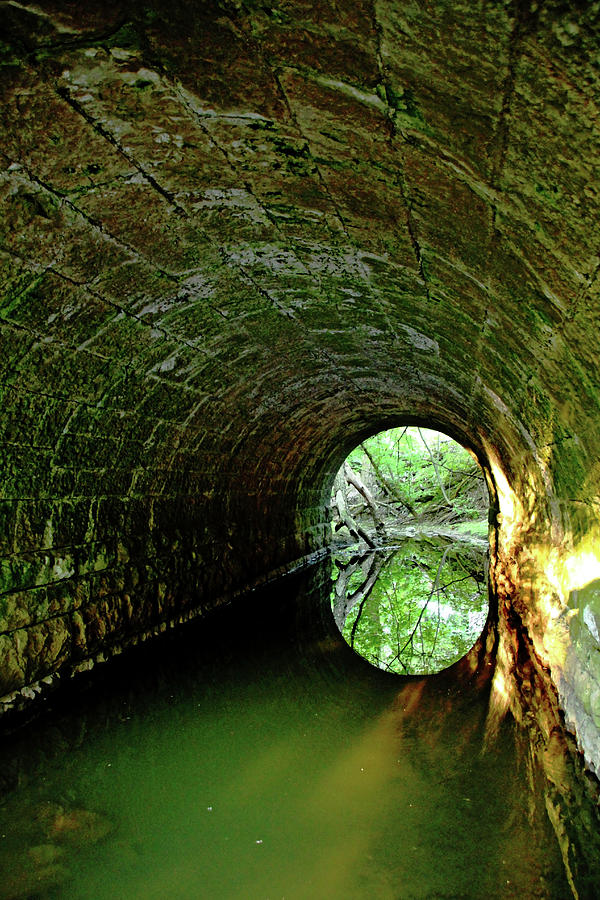 Creek Tunnel Photograph by Debbie Oppermann