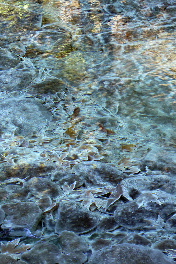 Creekbed Blues #22 by Deborah Ann Good Creekbed Blues #22 by Deborah Ann Good