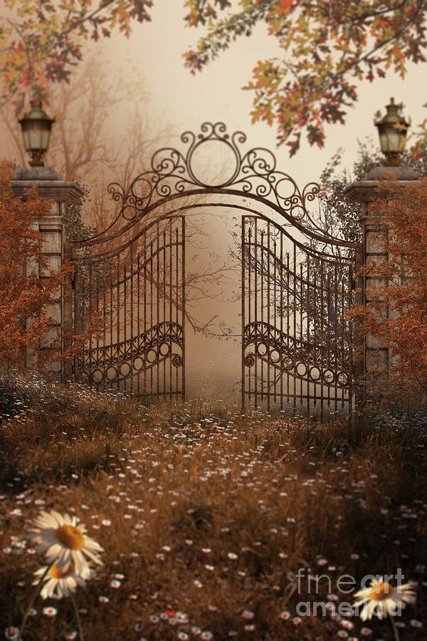 Creepy Old Gates Set In Overgrown Estate Photograph by Ethiriel Photography