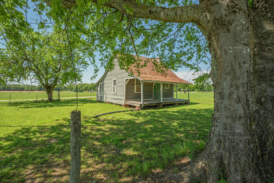 Creole Homeplace 2019-04 03 Photograph by Jim Dollar